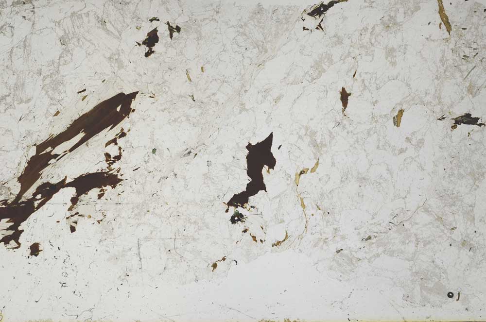 Plane Polarized, S50085