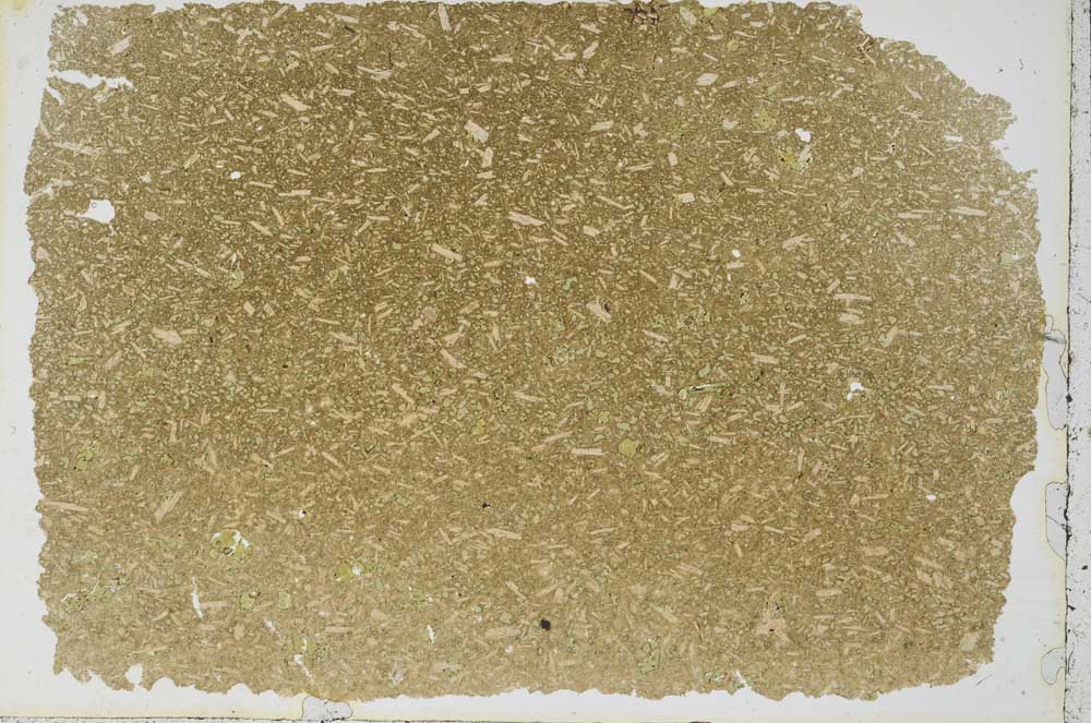 Plane Polarized, S50091