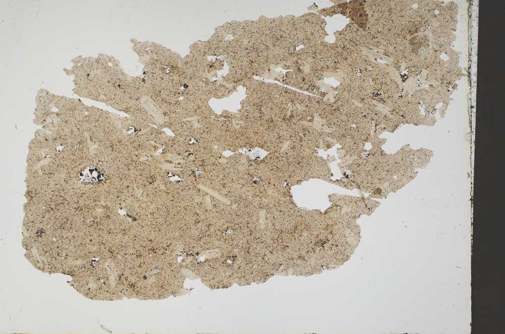 Plane Polarized, S50108