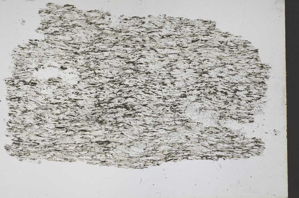 Plane Polarized, S50173