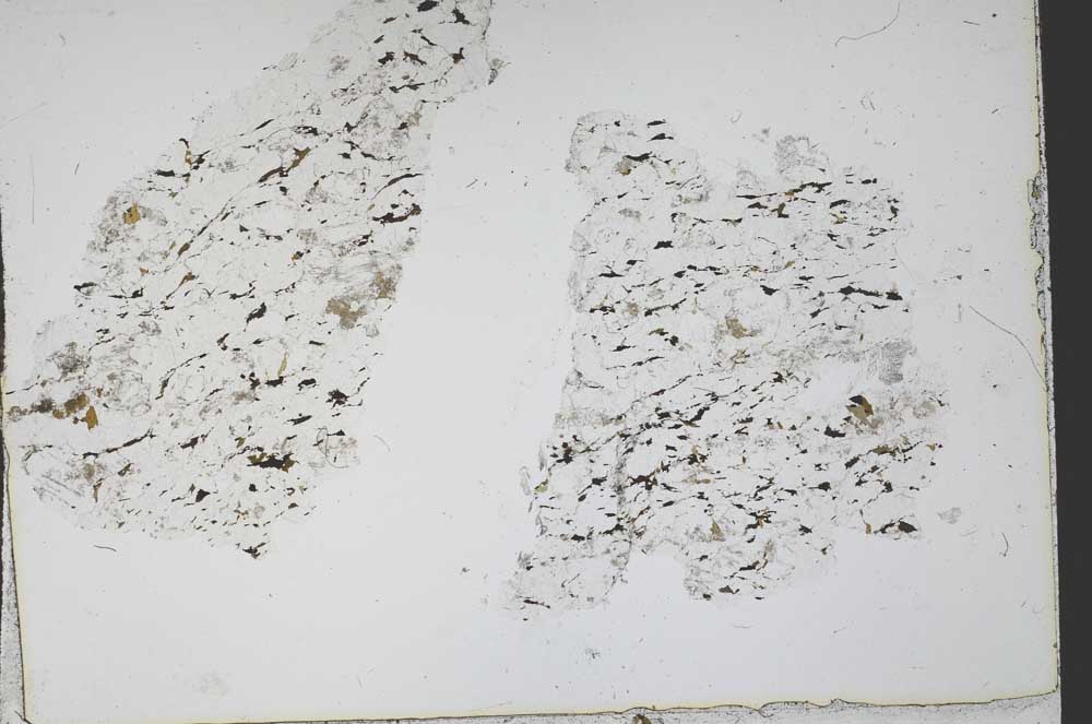 Plane Polarized, S50175
