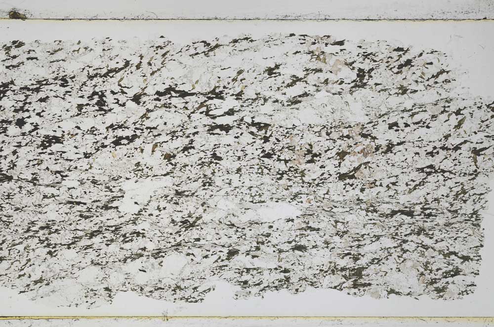 Plane Polarized, S50195