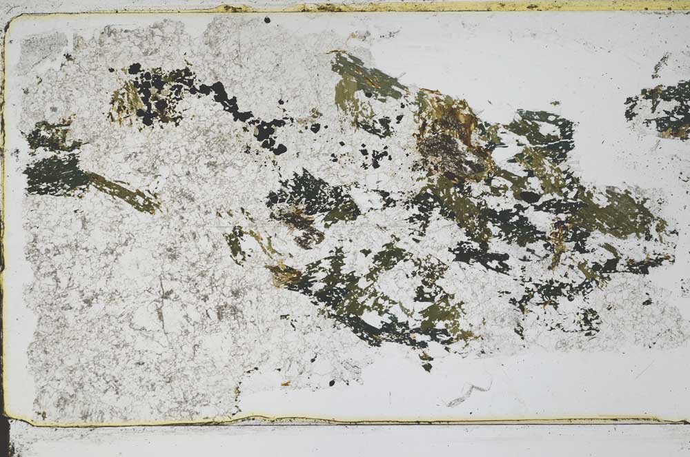 Plane Polarized, S50204