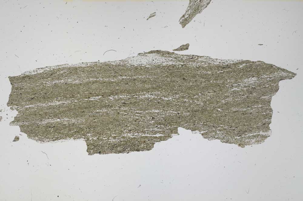 Plane Polarized, S50208