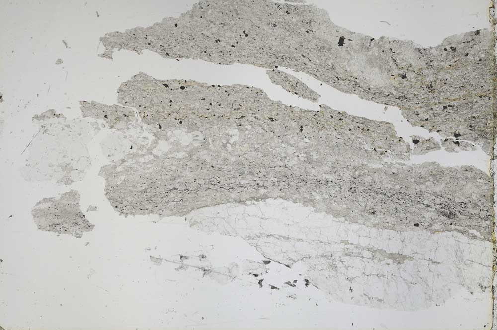 Plane Polarized, S50258