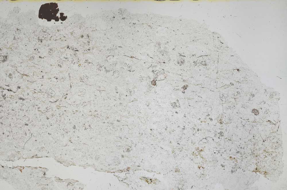 Plane Polarized, S50259