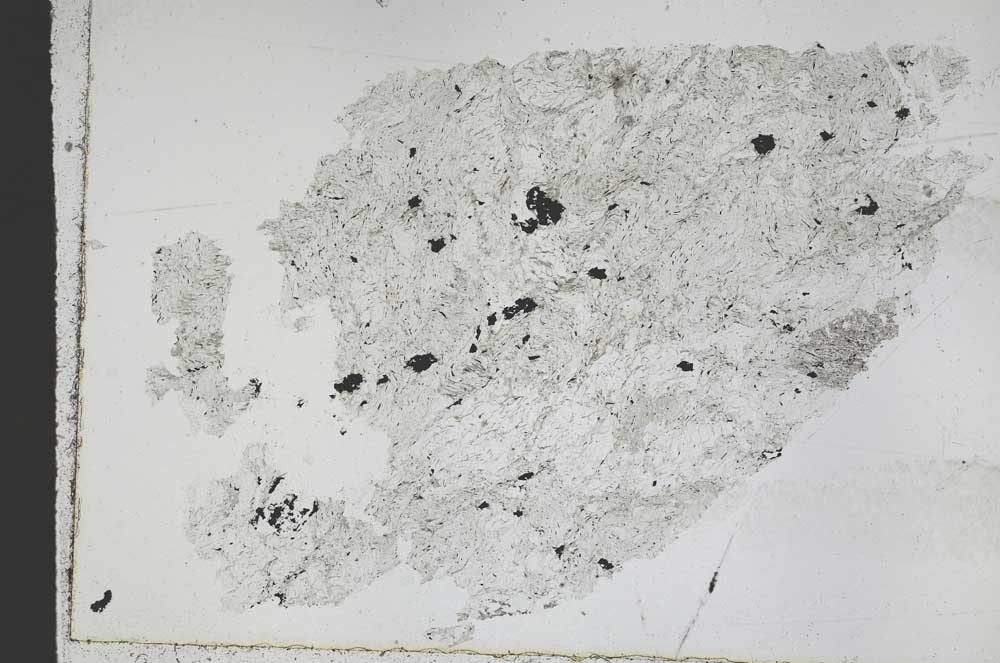 Plane Polarized, S50267