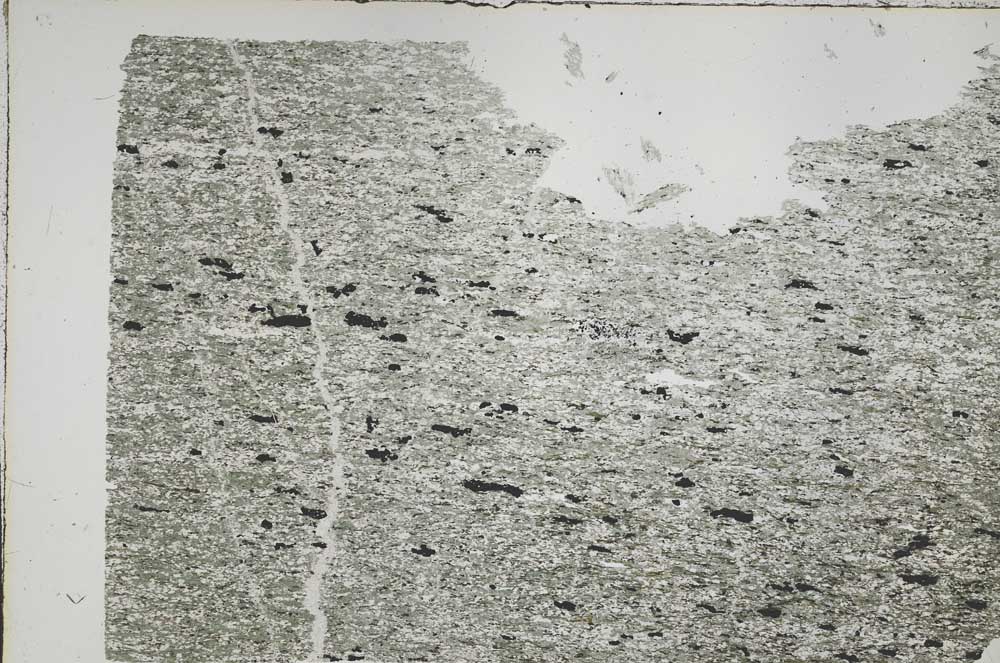 Plane Polarized, S50406