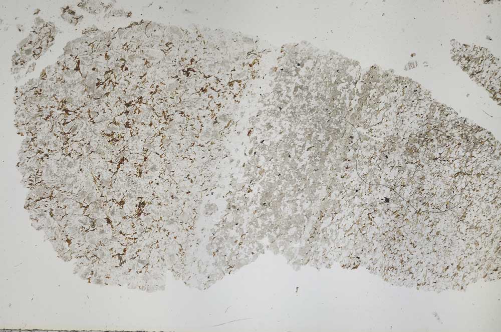 Plane Polarized, S50425