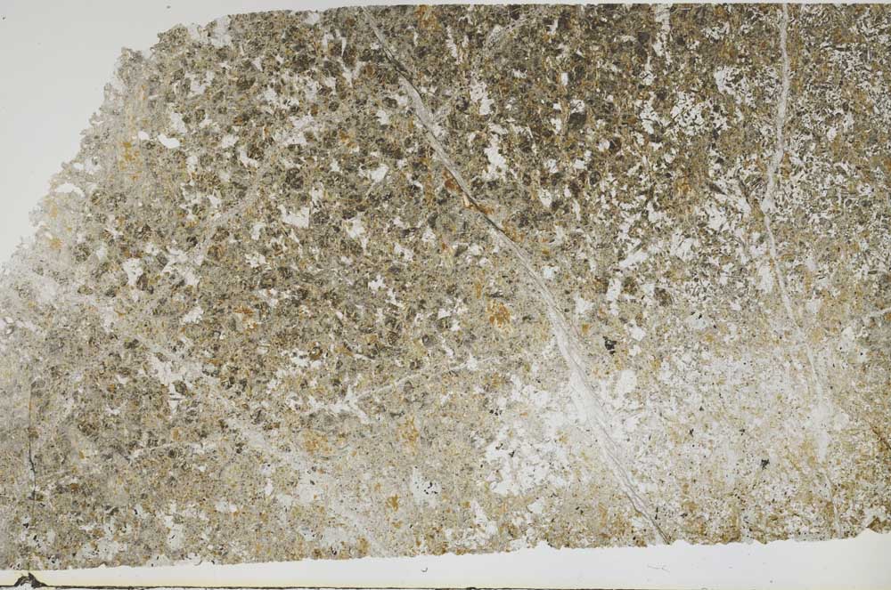 Plane Polarized, S50431