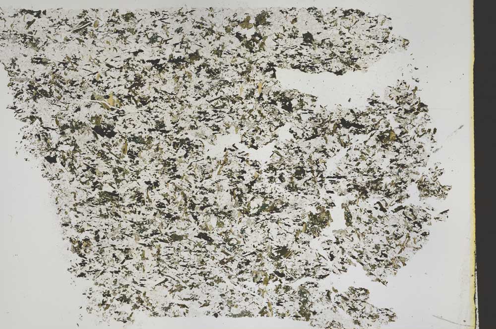 Plane Polarized, S50435