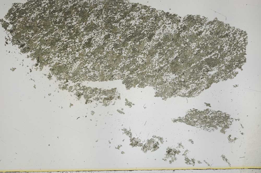 Plane Polarized, S50437