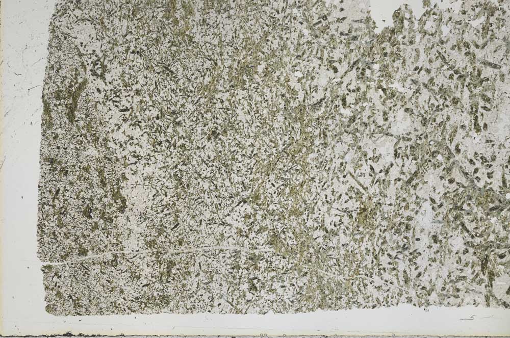 Plane Polarized, S50440