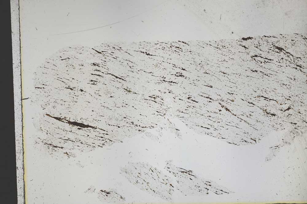 Plane Polarized, S50453