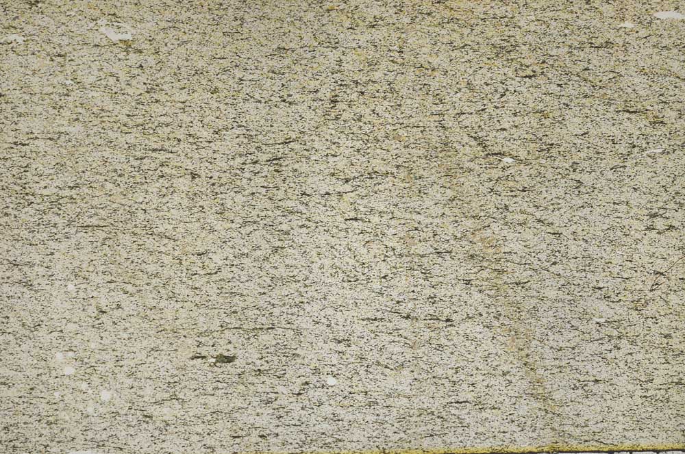 Plane Polarized, S50454/A