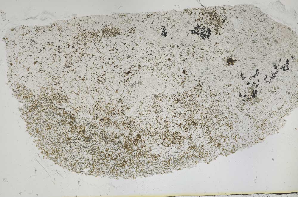 Plane Polarized, S50457