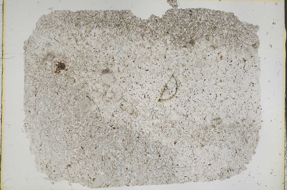 Plane Polarized, S50458