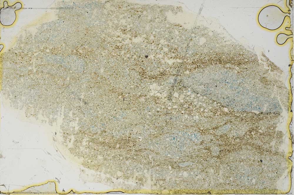 Plane Polarized, S50466