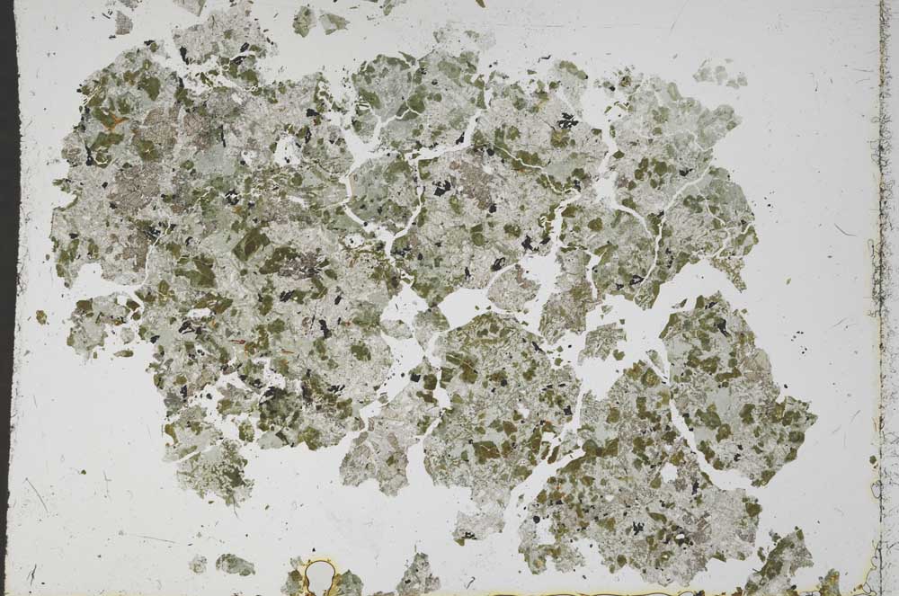 Plane Polarized, S50478/A