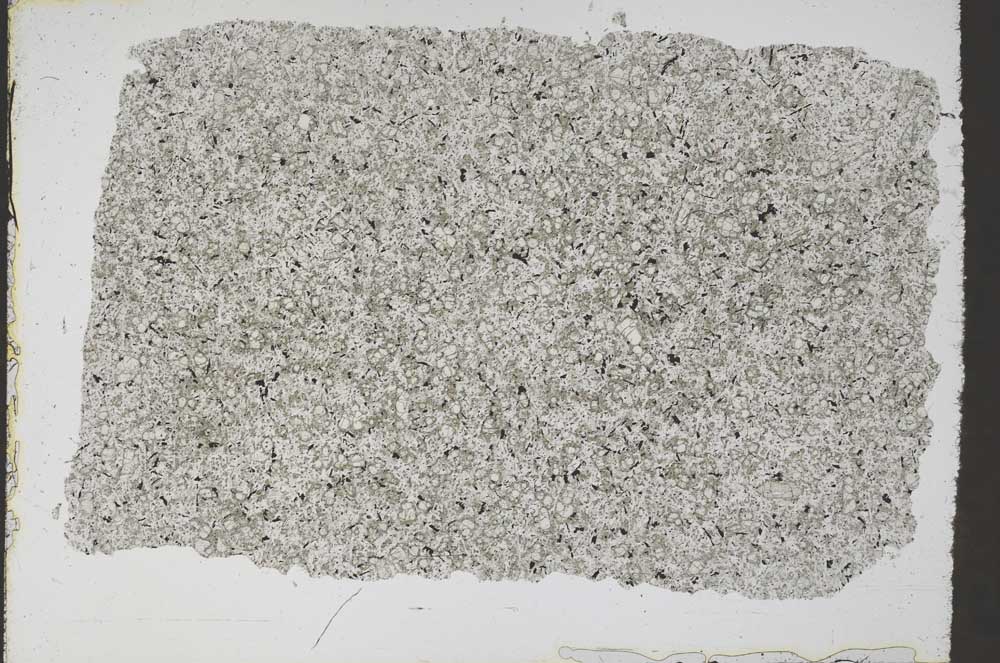 Plane Polarized, S50479