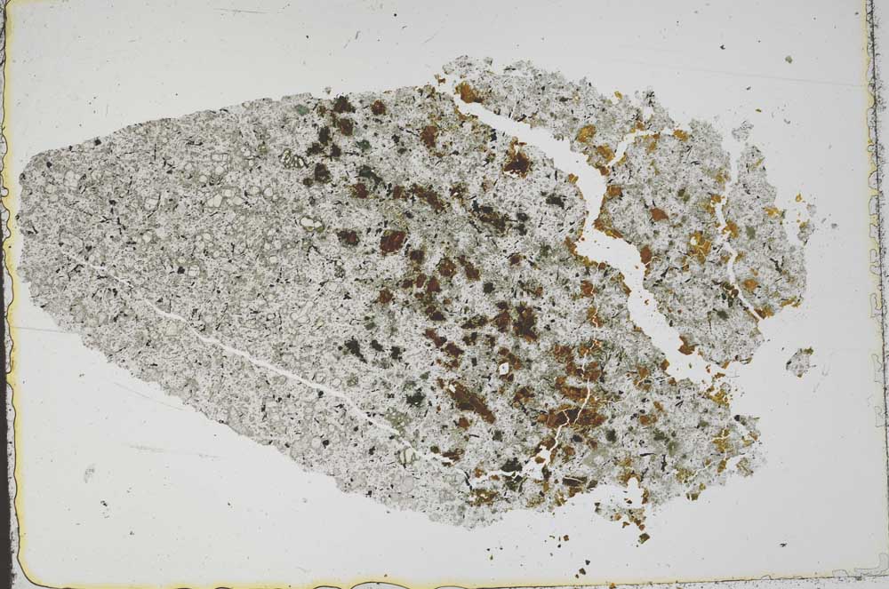 Plane Polarized, S50479/A