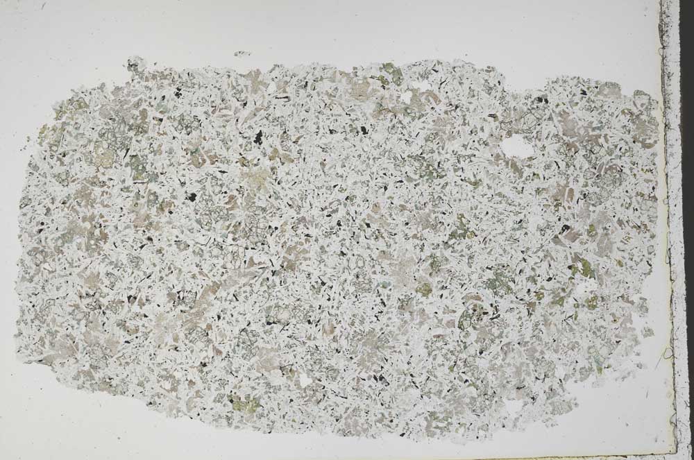 Plane Polarized, S50480/A