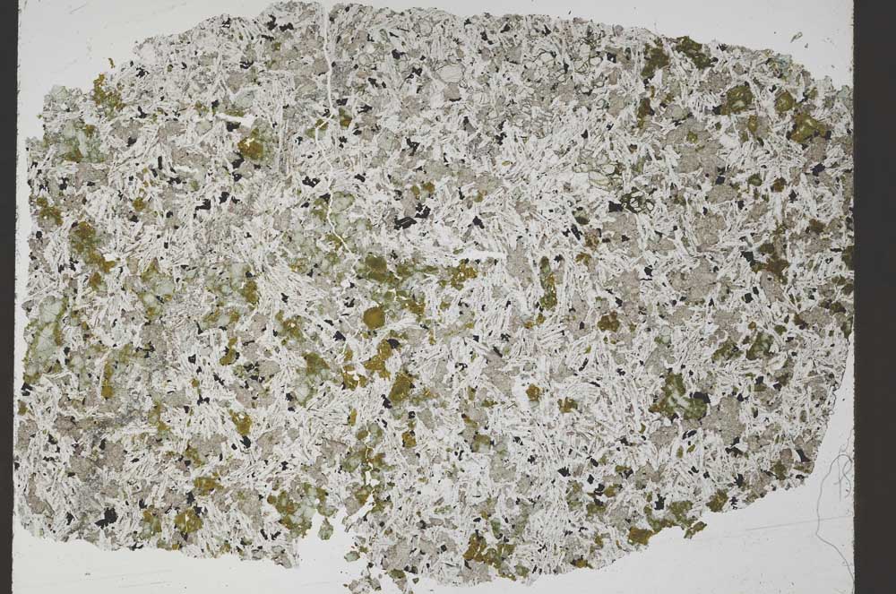 Plane Polarized, S50481/A