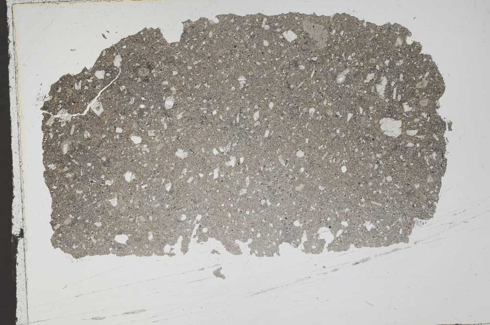 Plane Polarized, S50484/A