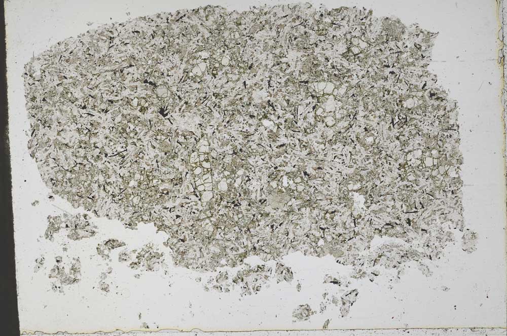 Plane Polarized, S50486