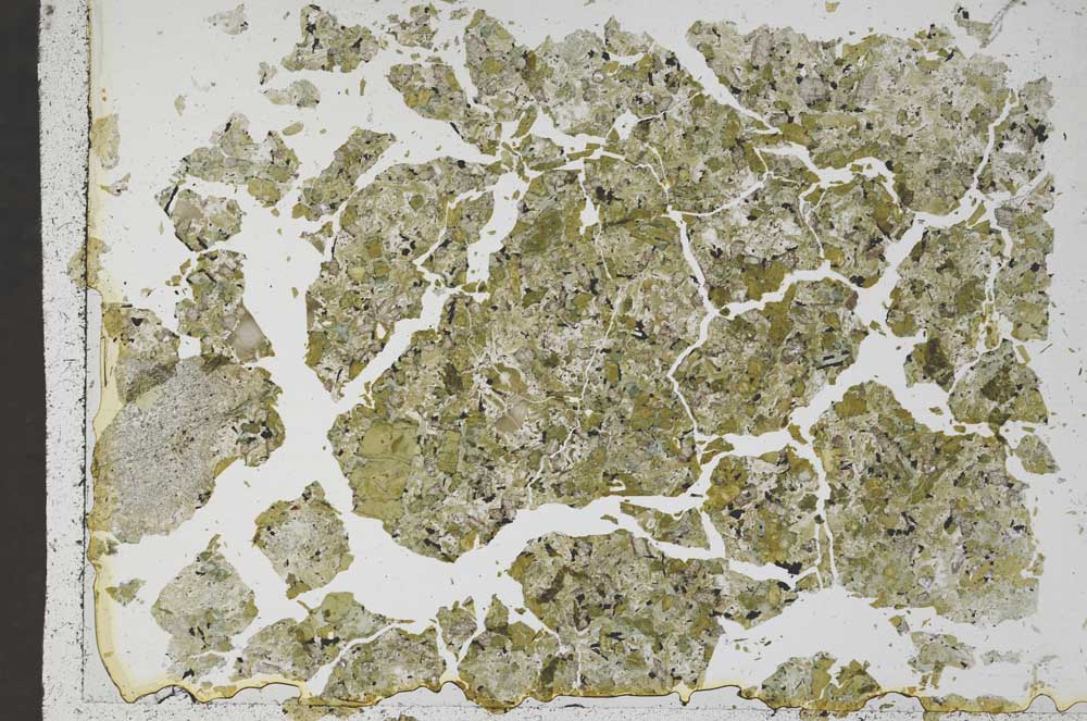 Plane Polarized, S50487/A