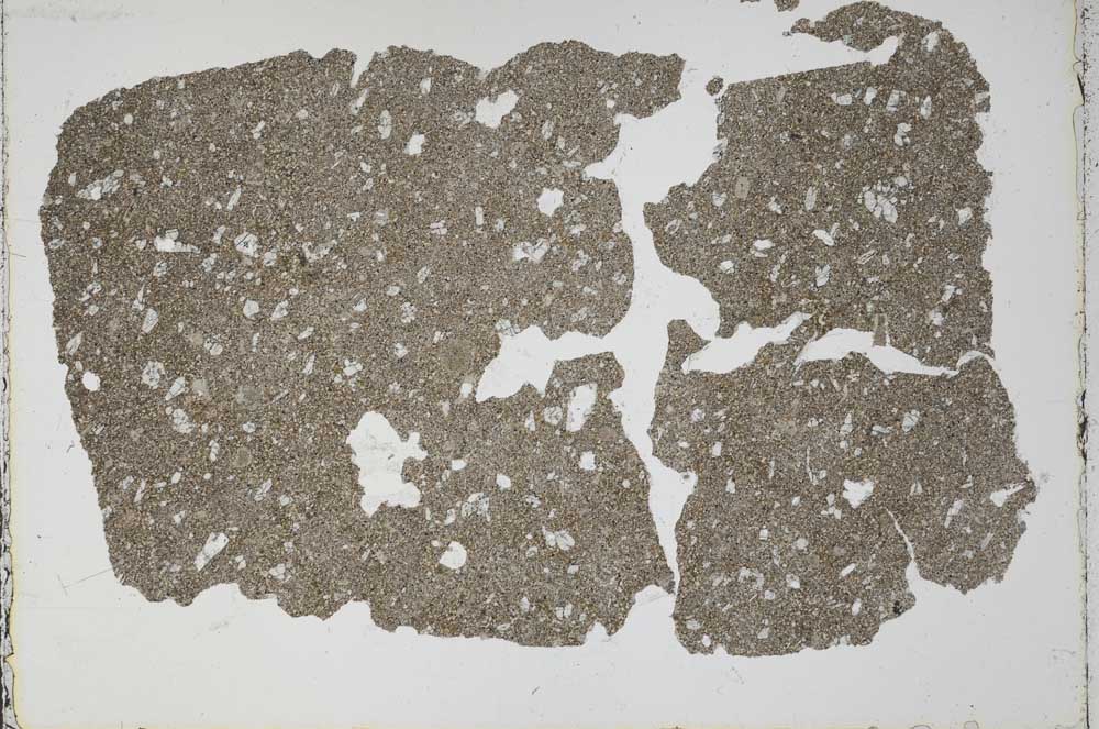 Plane Polarized, S50488/A