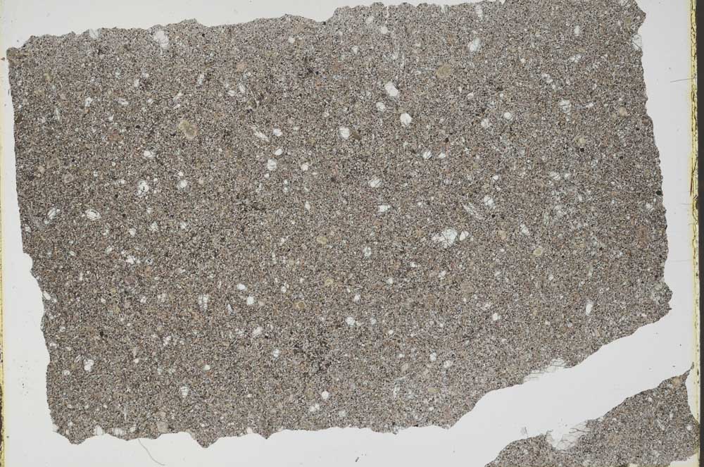 Plane Polarized, S50489/A