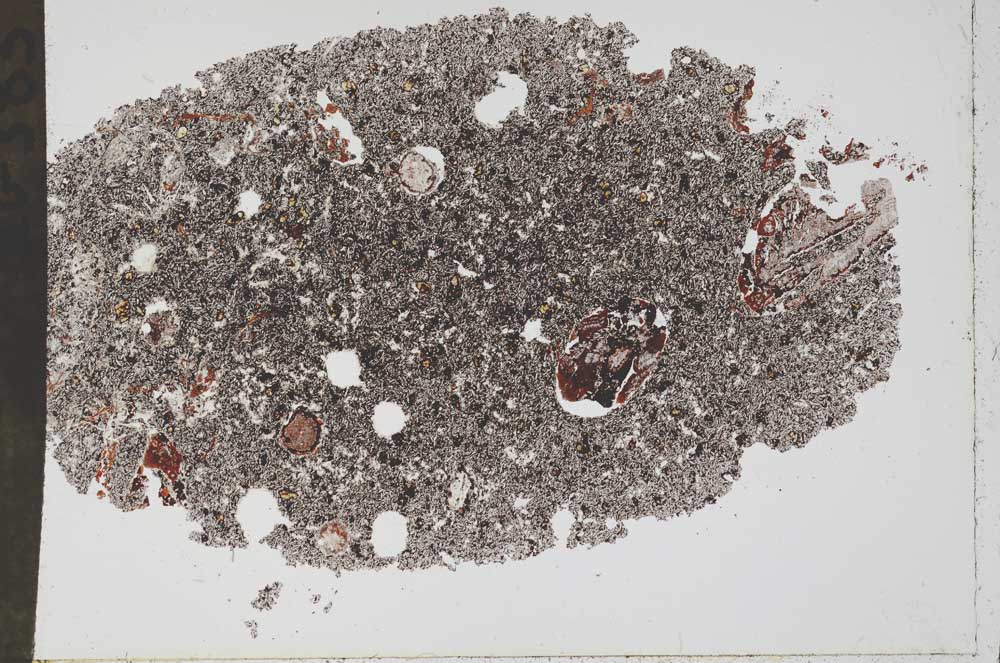 Plane Polarized, S50580