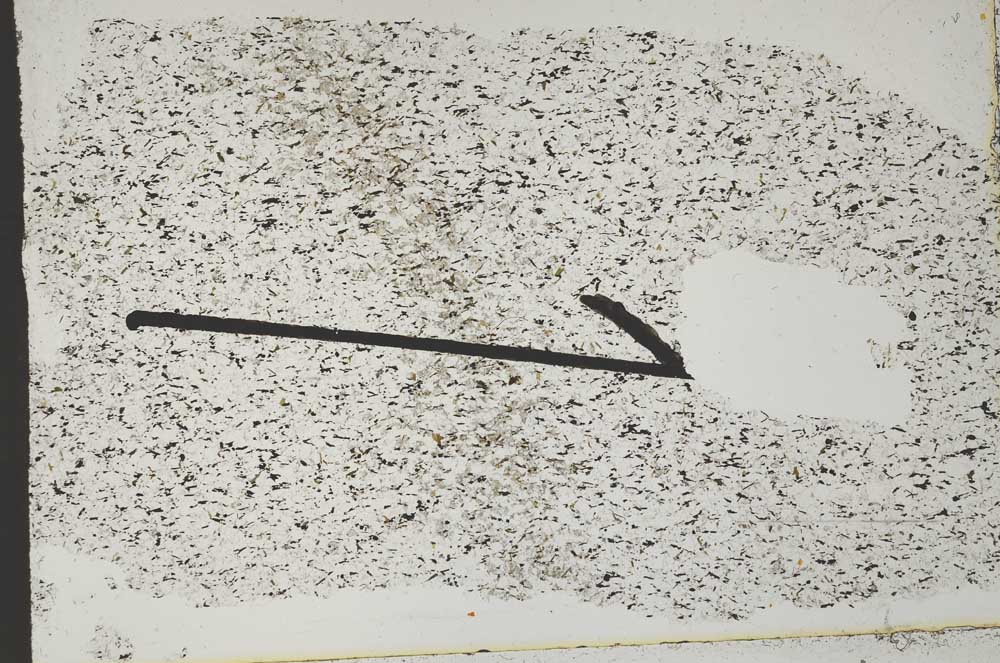 Plane Polarized, S50585