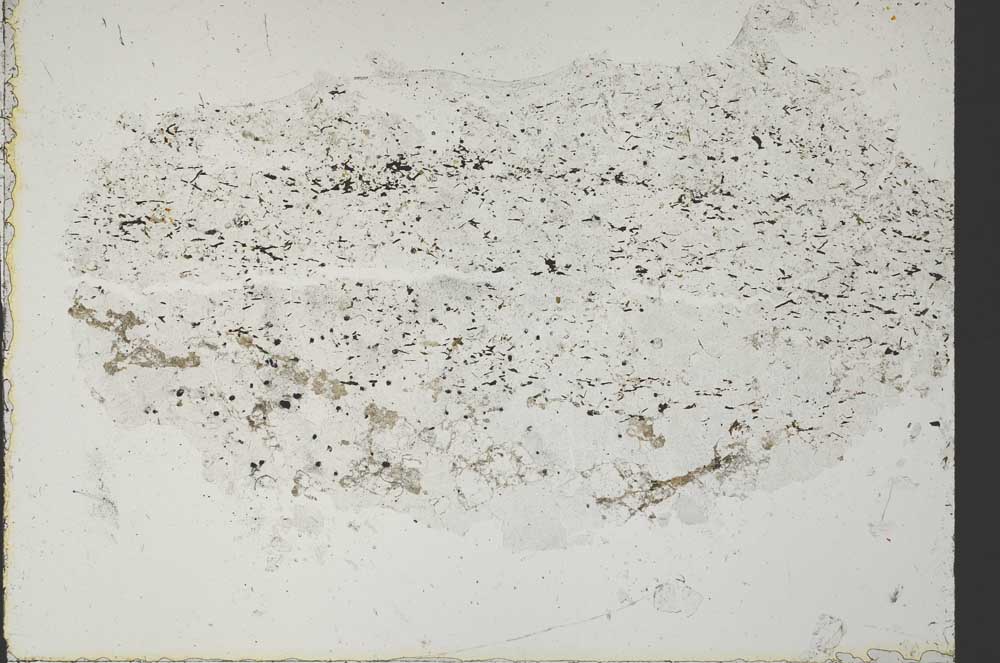Plane Polarized, S50586