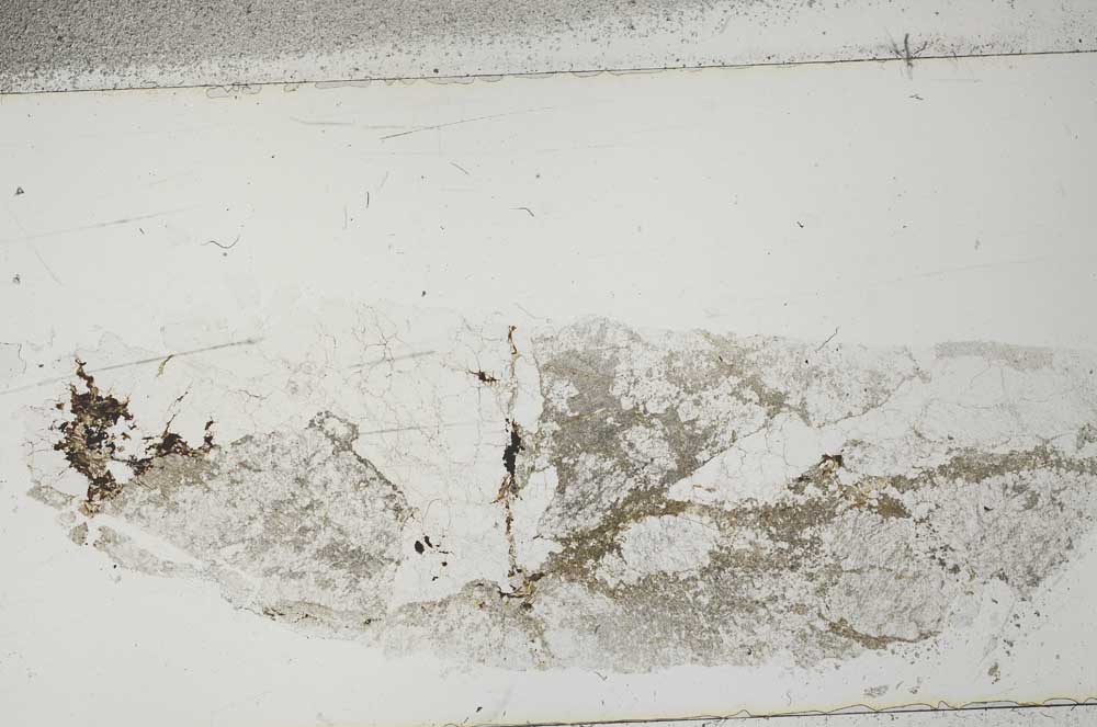 Plane Polarized, S50612
