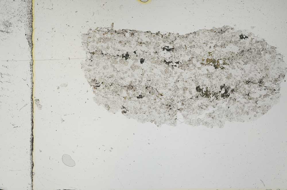 Plane Polarized, S50617