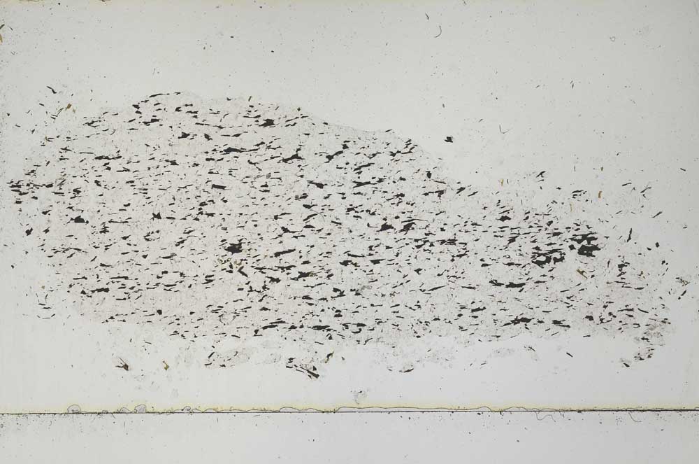 Plane Polarized, S50621