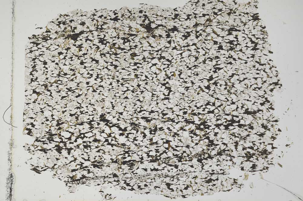 Plane Polarized, S50631