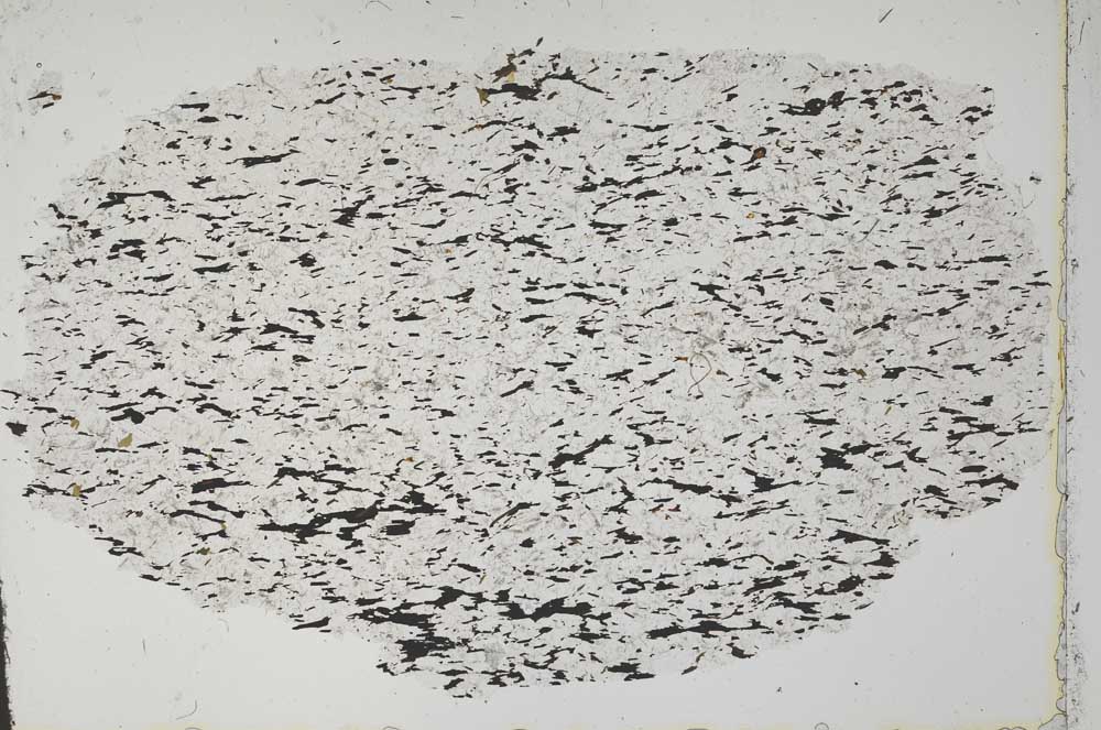 Plane Polarized, S50636