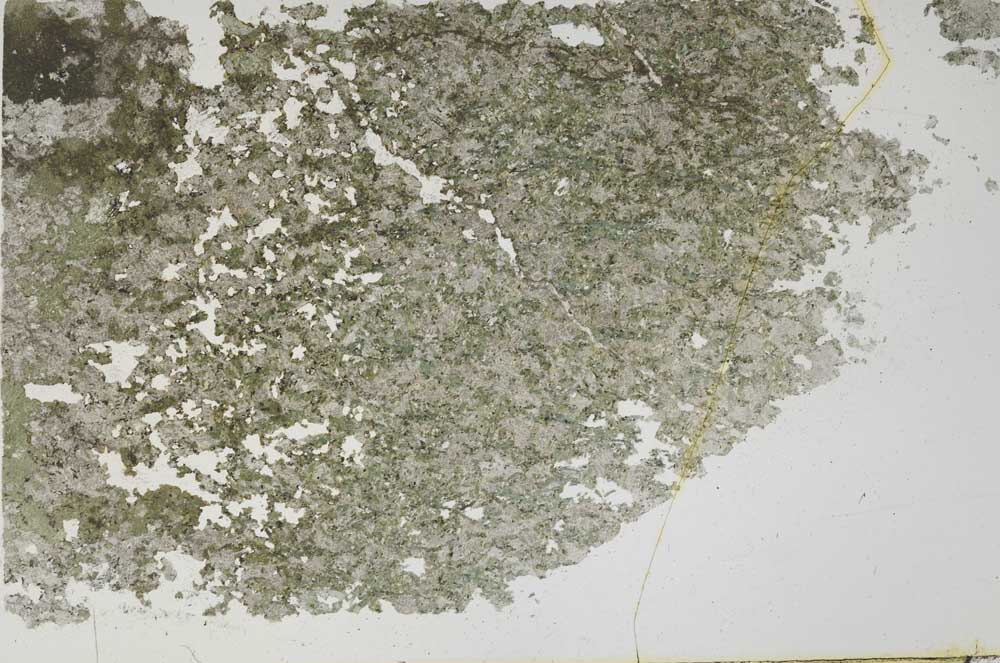 Plane Polarized, S50682