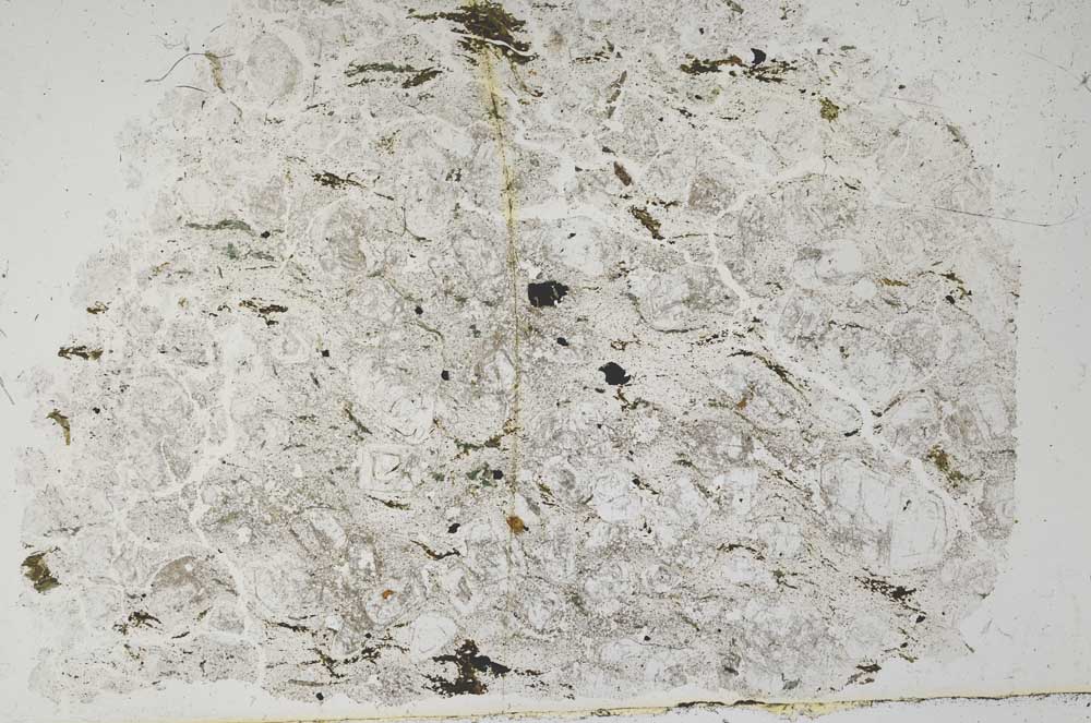 Plane Polarized, S50692