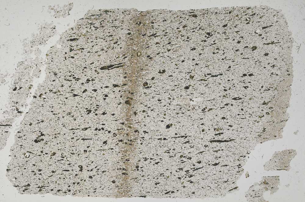 Plane Polarized, S50699