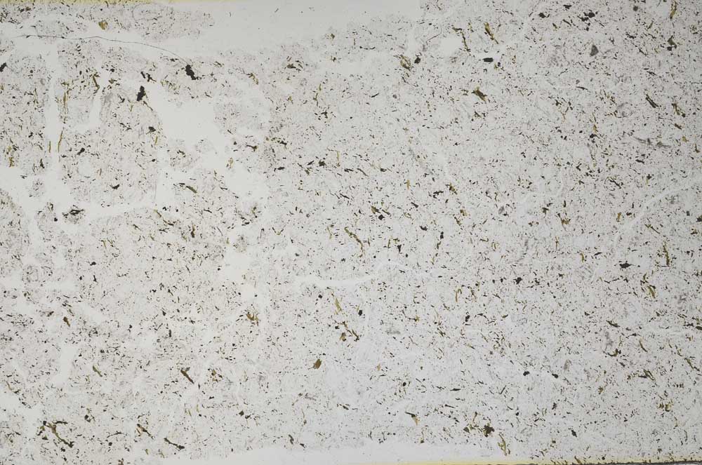 Plane Polarized, S50716