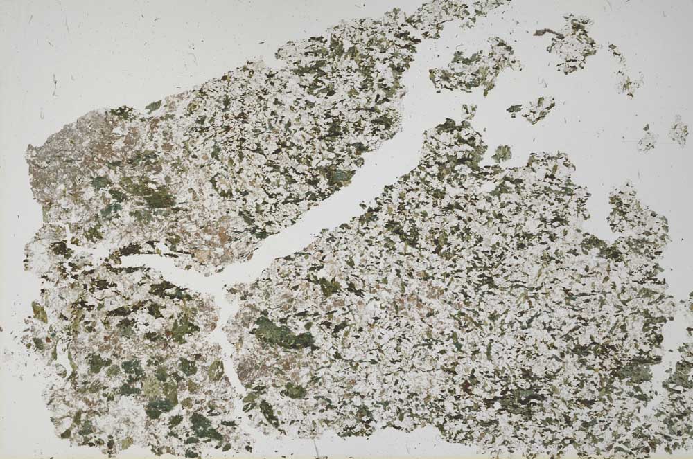 Plane Polarized, S50724