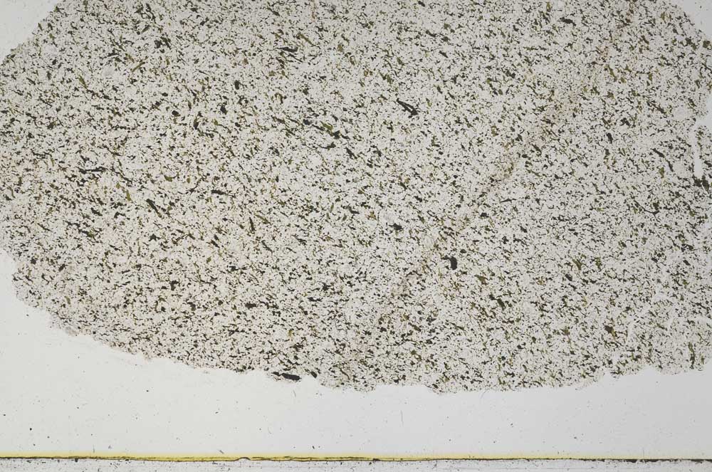 Plane Polarized, S50727