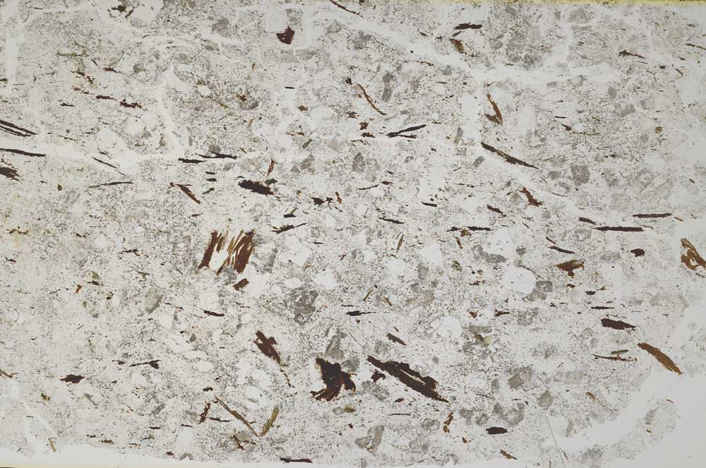 Plane Polarized, S50741