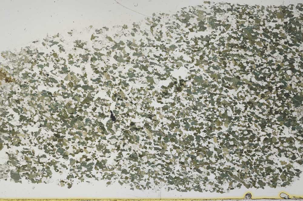 Plane Polarized, S50744