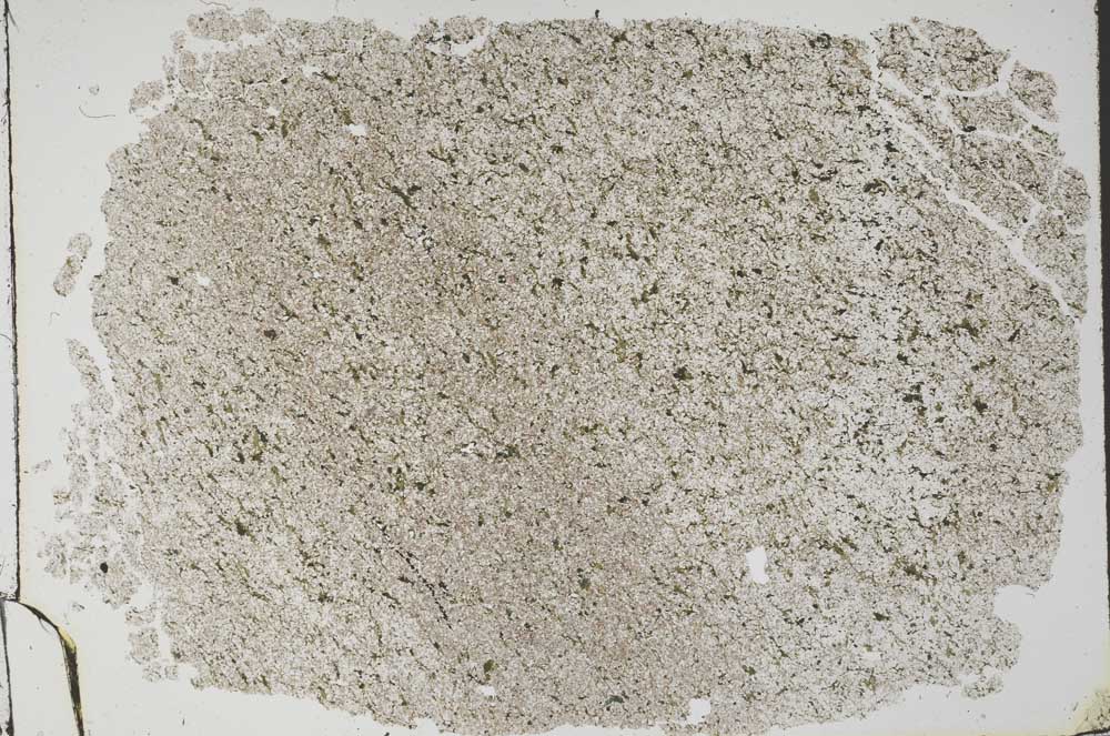 Plane Polarized, S50747