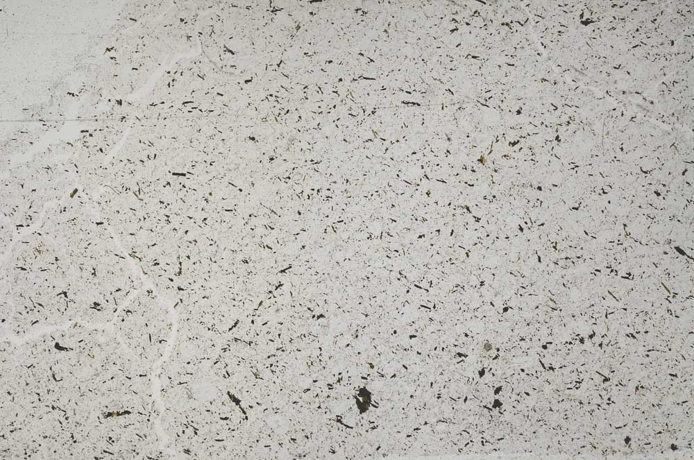 Plane Polarized, S50754